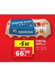 ERSTV VEJCE L