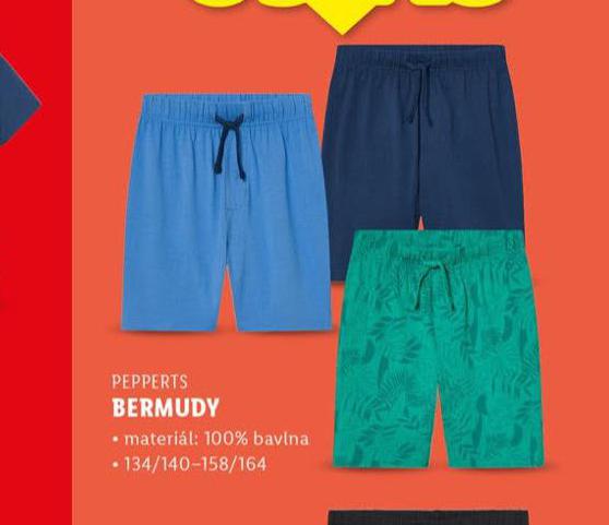 BERMUDY