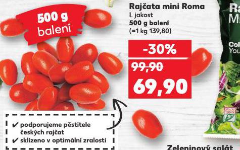 RAJATA MINI ROMA