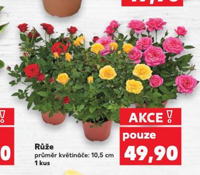 RَE
