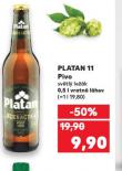PIVO PLATAN 11