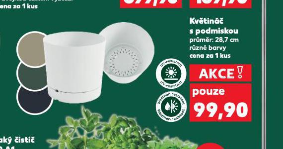 KVTIN S PODMISKOU