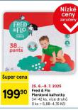 FRED & FLO DTSK PLENY