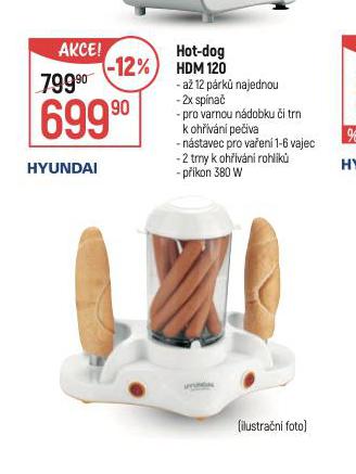 HYUNDAI HOT-DOG