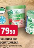 HOLLANDIA BIO JOGURT ZMRZKA