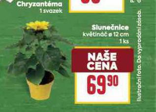 SLUNENICE