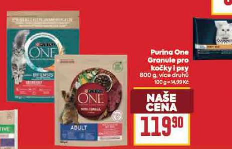 PURINA ONE GRANULE PRO KOKY