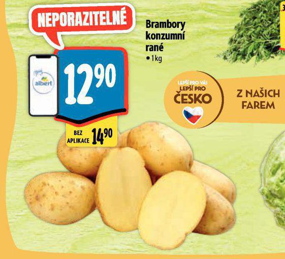 BRAMBORY KONZUMN RAN