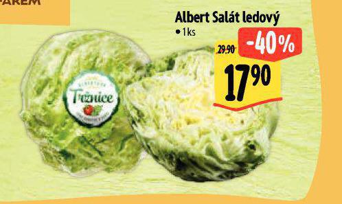 SALT LEDOV
