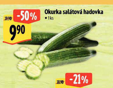 OKURKA SALTOV HADOVKA
