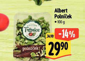 POLNEK