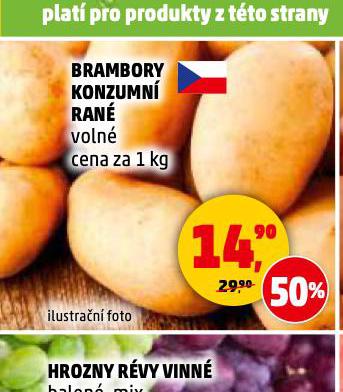 BRAMBORY KONZUMN RAN