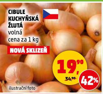 CIBULE KUCHYSK LUT