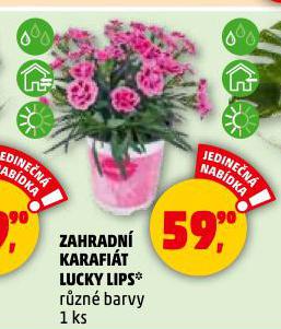 ZAHRADN KARAFIT LUCKY LIPS
