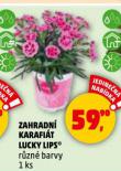 ZAHRADN KARAFIT LUCKY LIPS