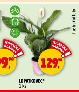 LOPATKOVEC