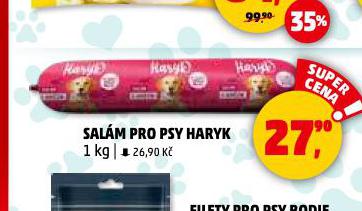 HARYK SALM PRO PSY