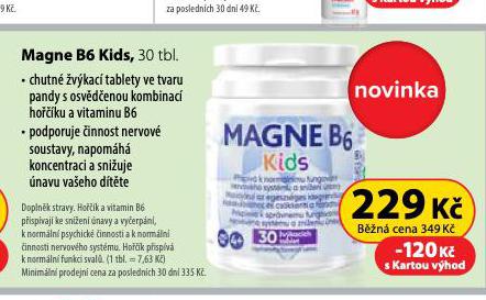 MAGNE B6
