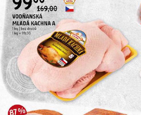 VODANSK MLAD KACHNA