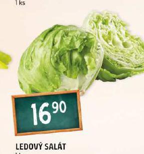 LEDOV SALT