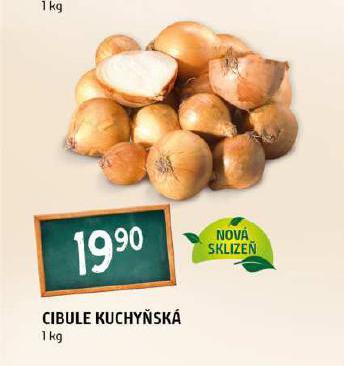 CIBULE KUCHYSK
