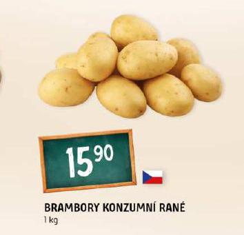 BRAMBORY KONZUMN RAN