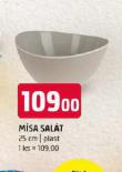 MSA SALT