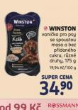 WINSTON VANIKA PRO PSY