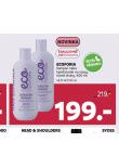 ECOFORIA AMPON, KONDICIONER