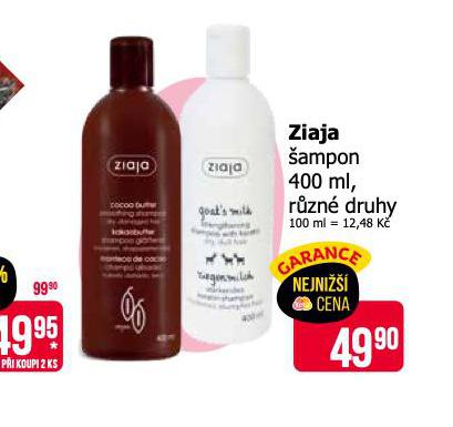 ZIAJA AMPON