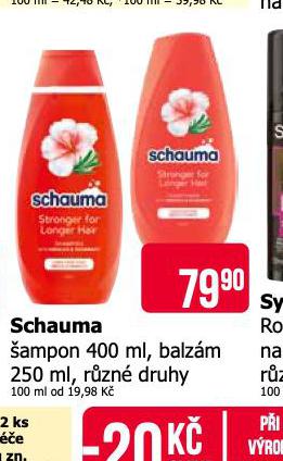 SCHUAMA AMPON, BALZM