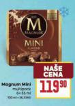 MAGNUM MINI