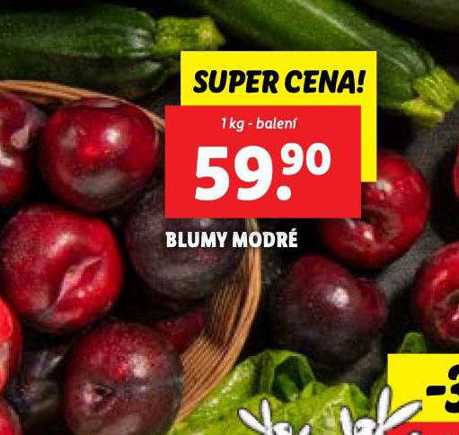BLUMY MODR
