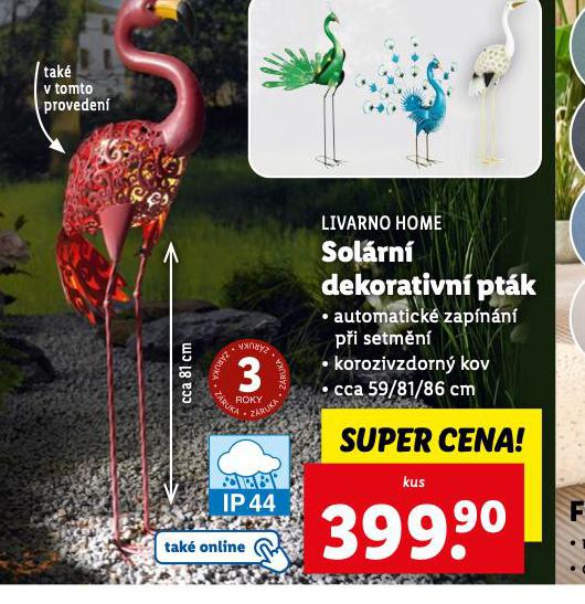 SOLRN DEKORATIVN PTK
