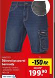 DNOV PRACOVN BERMUDY