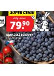 KANADSK BORVKY