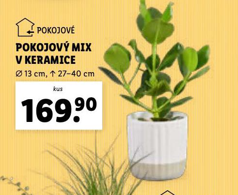 POKOJOV MIX V KERAMICE