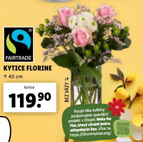 KYTICE FLORINE