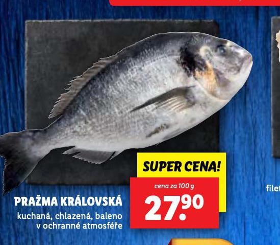 PRAMA KRLOVSK