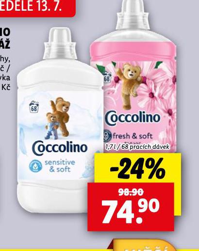 COCCOLINO AVIV