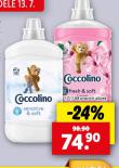 COCCOLINO AVIV