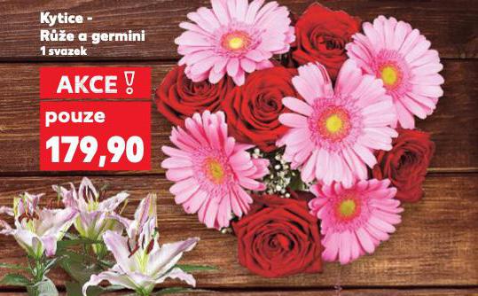 KYTICE RَE A GERMINI