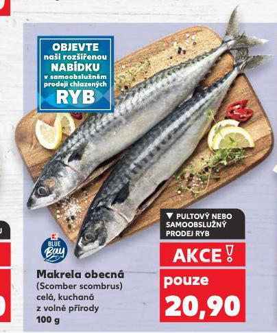 MAKRELA OBECN