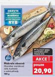 MAKRELA OBECNÁ