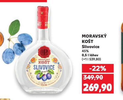 MORAVSK KOT