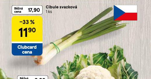 CIBULE SVAZKOV