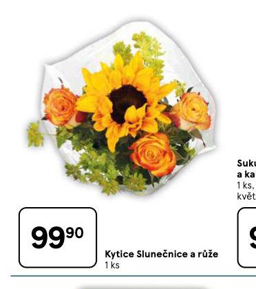 KYTICE SLUNENICE A RَE