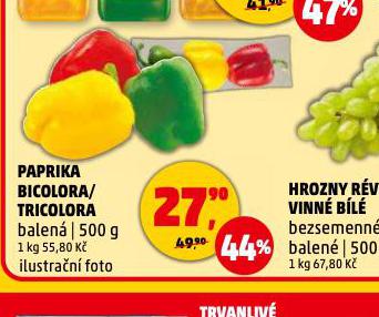 PAPRIKA TRIKOLORA / BICOLORA