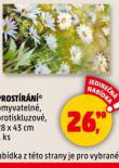 PROSTRN