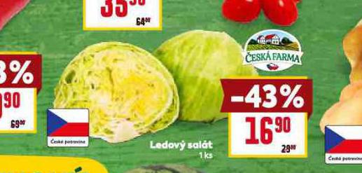 LEDOV SALT